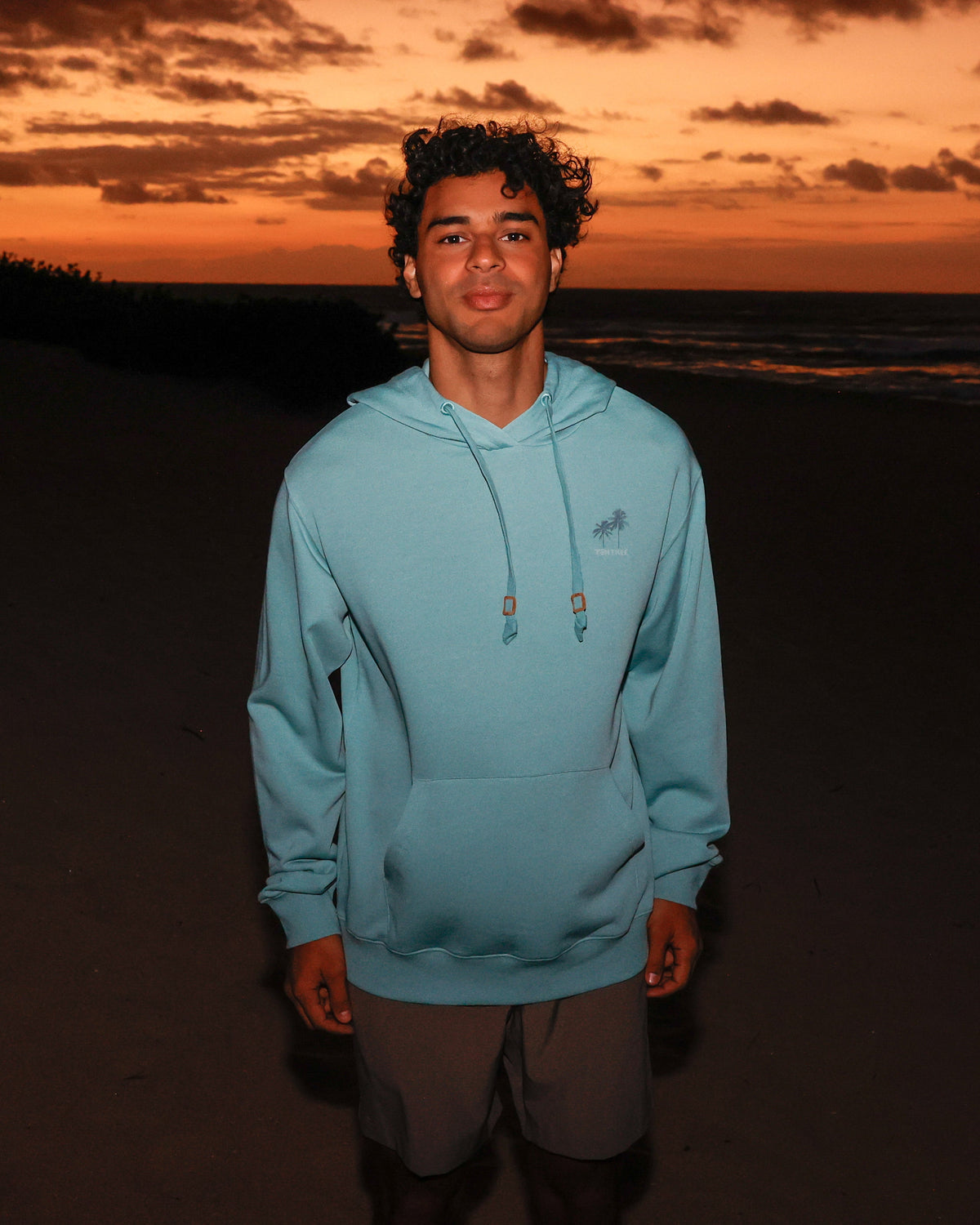 Tentree Men's Haiti Palm Logo Relaxed Hoodie