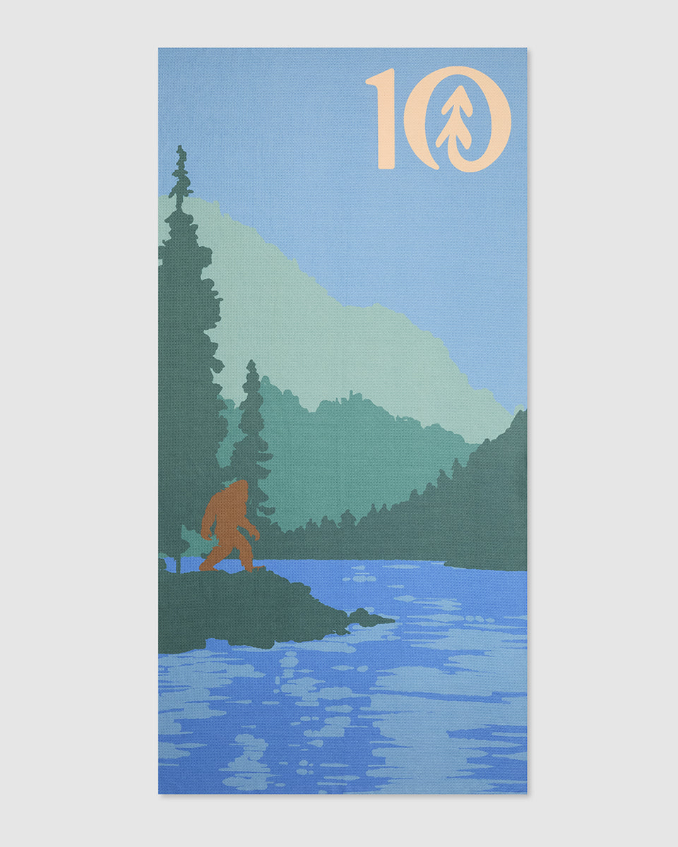 Tentree Accessories Brohm Packable Towel