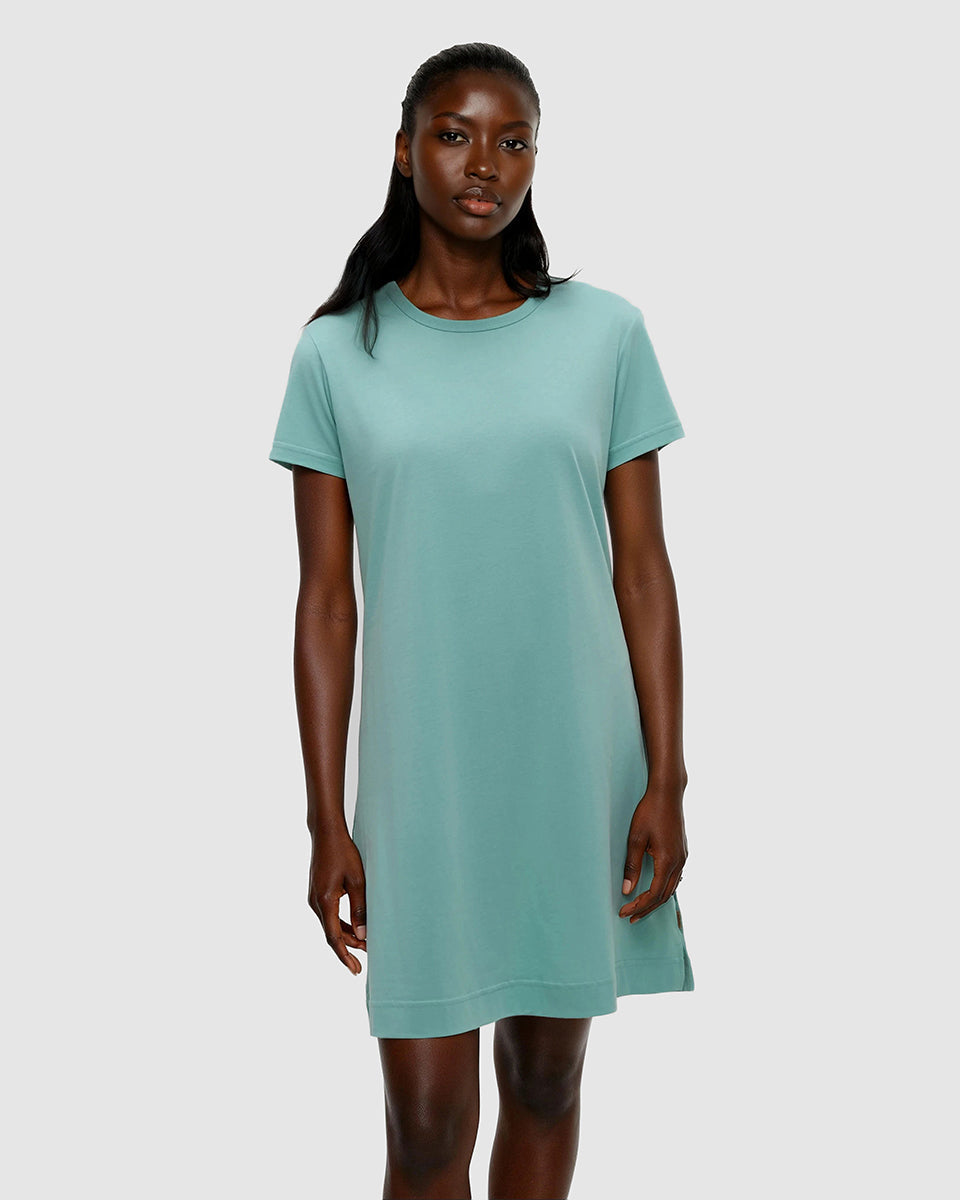 Tentree Women's Birchwood Dress