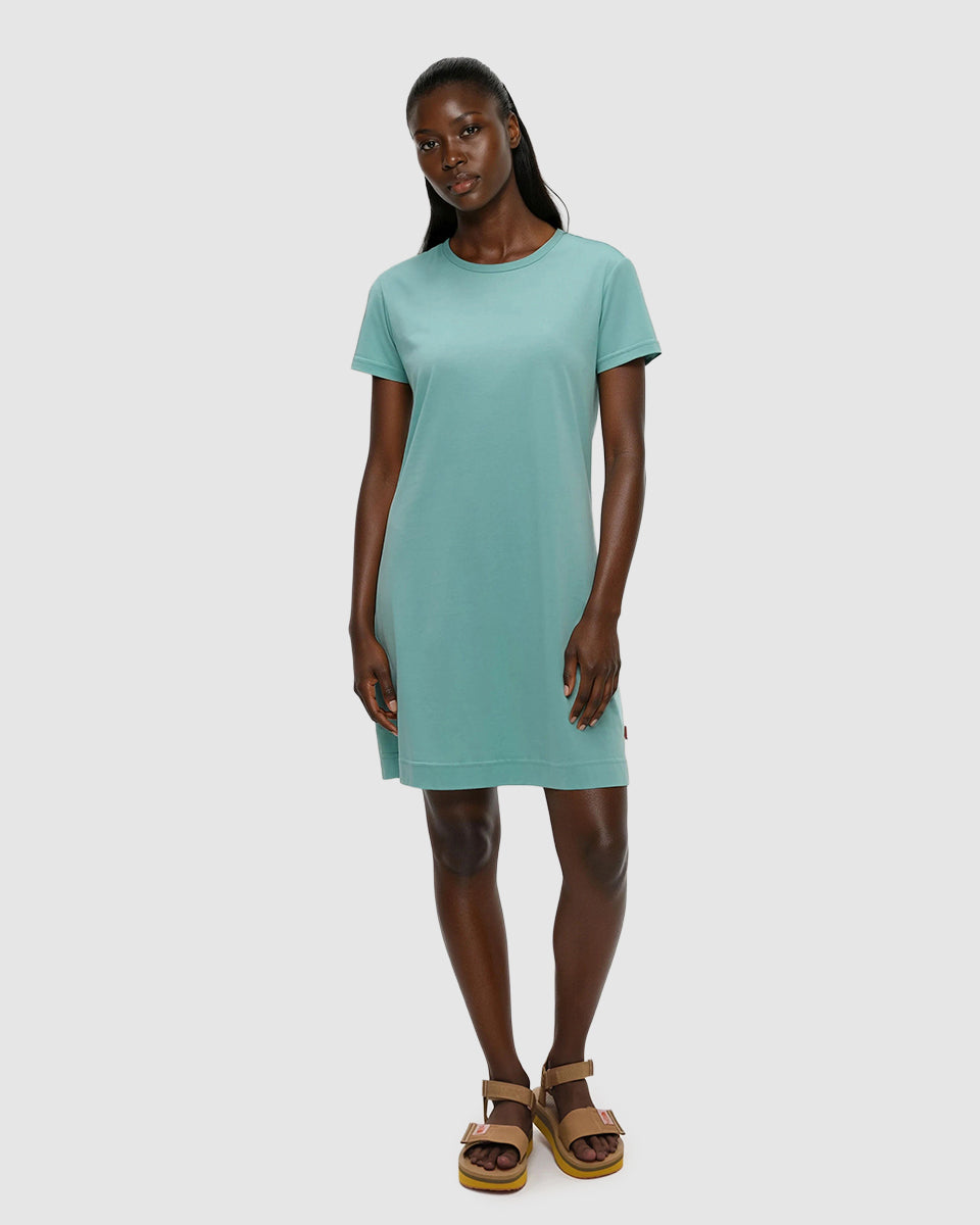 Tentree Women's Birchwood Dress