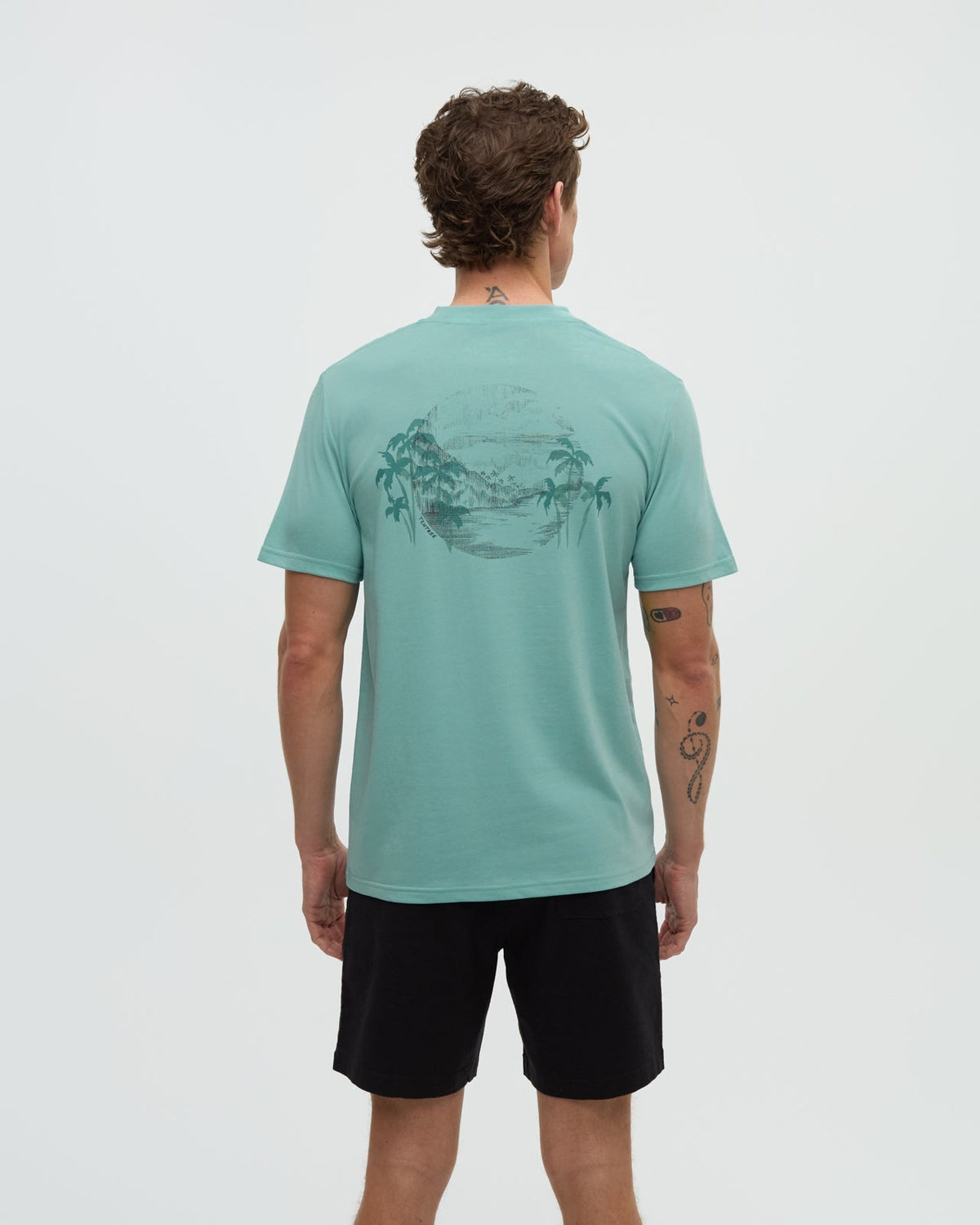 Tentree Men's Haiti Palm Overlay T-Shirt