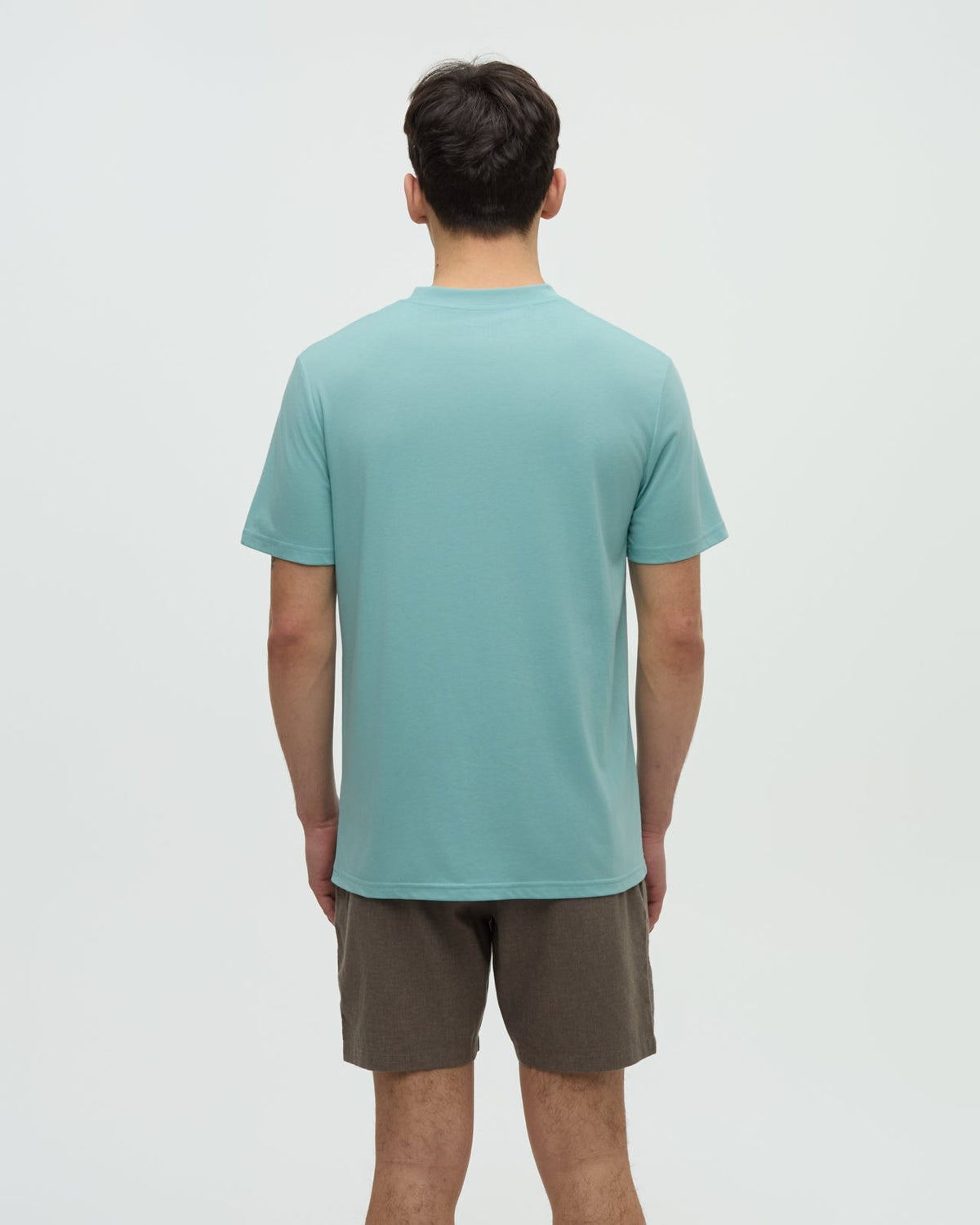 Tentree Men's Serene Lake T-Shirt
