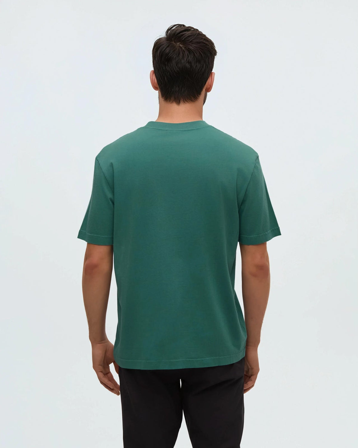 Tentree Men's Regenerative Lake Life Portal T-Shirt