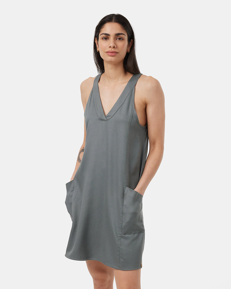 Tentree Women's Tencel Swing Dress