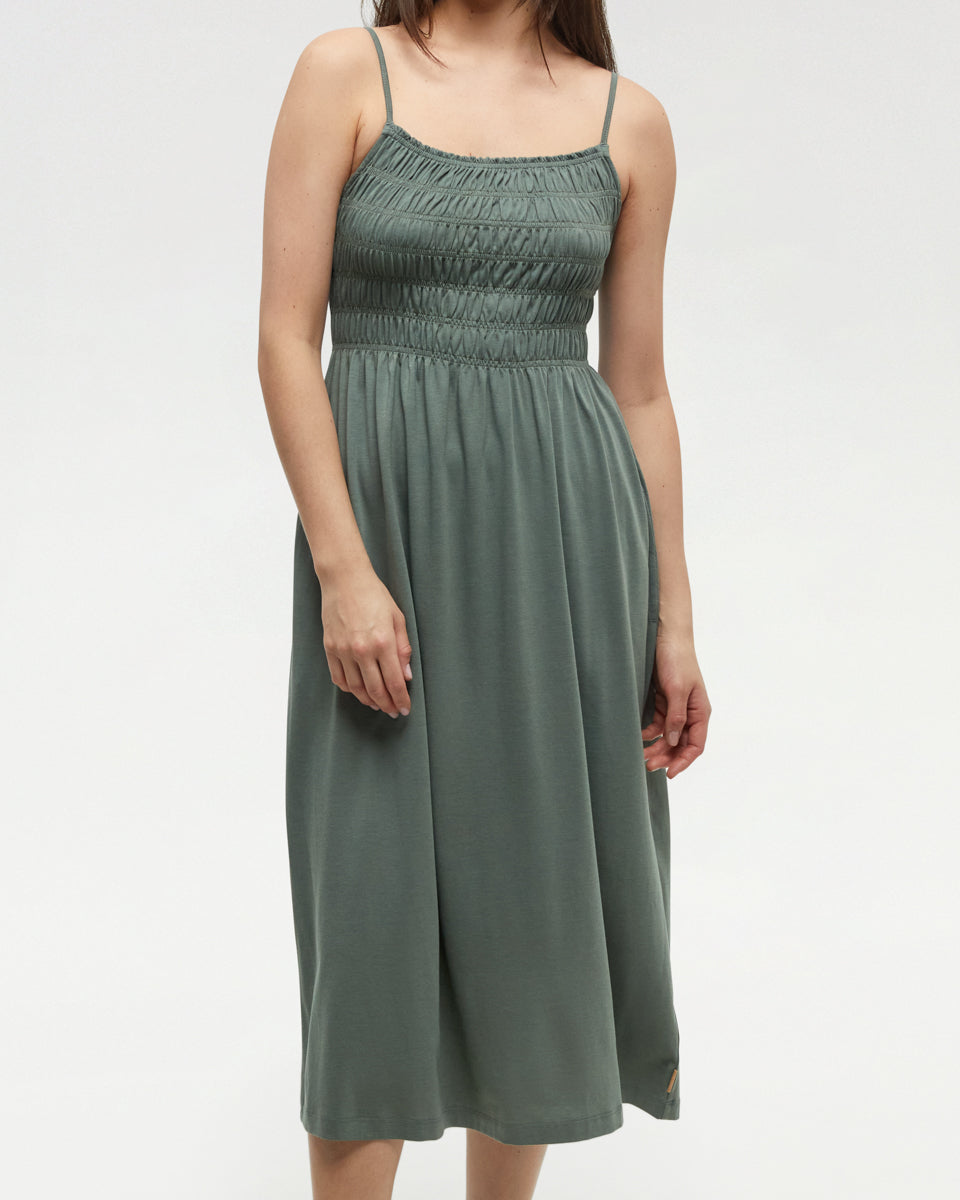 Tentree Women's Driftwood Dress