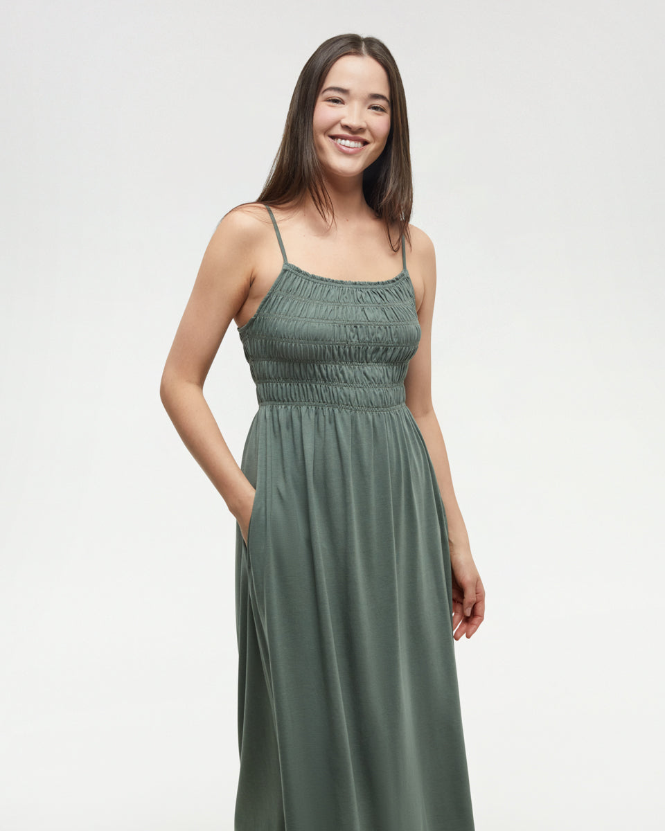 Tentree Women's Driftwood Dress