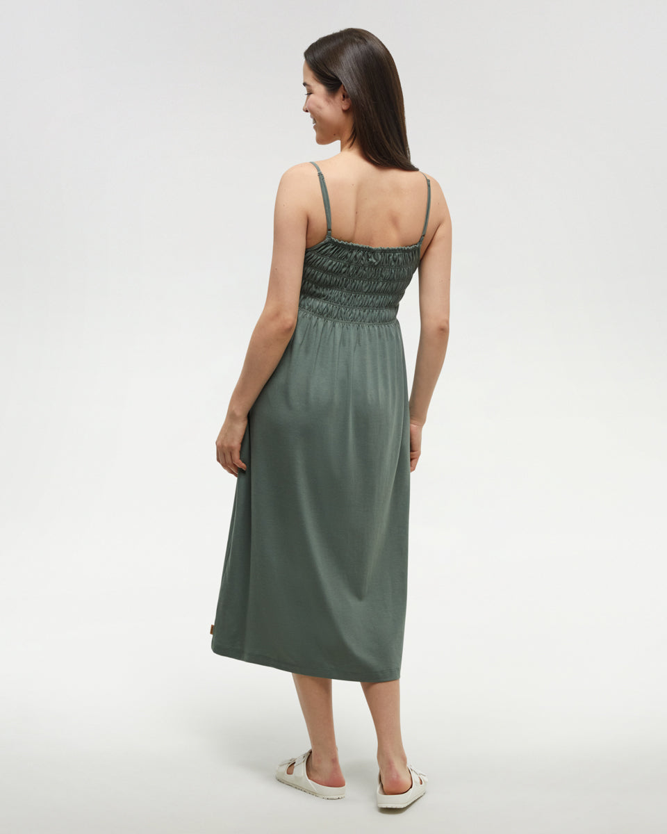 Tentree Women's Driftwood Dress