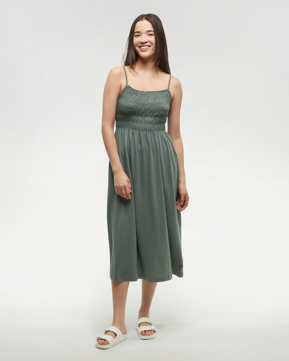 Tentree Women's Driftwood Dress