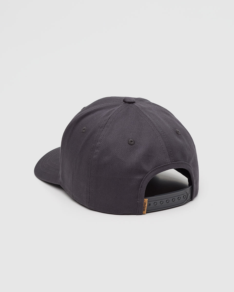 Tentree Accessories Amazon Patch Elevation Hat