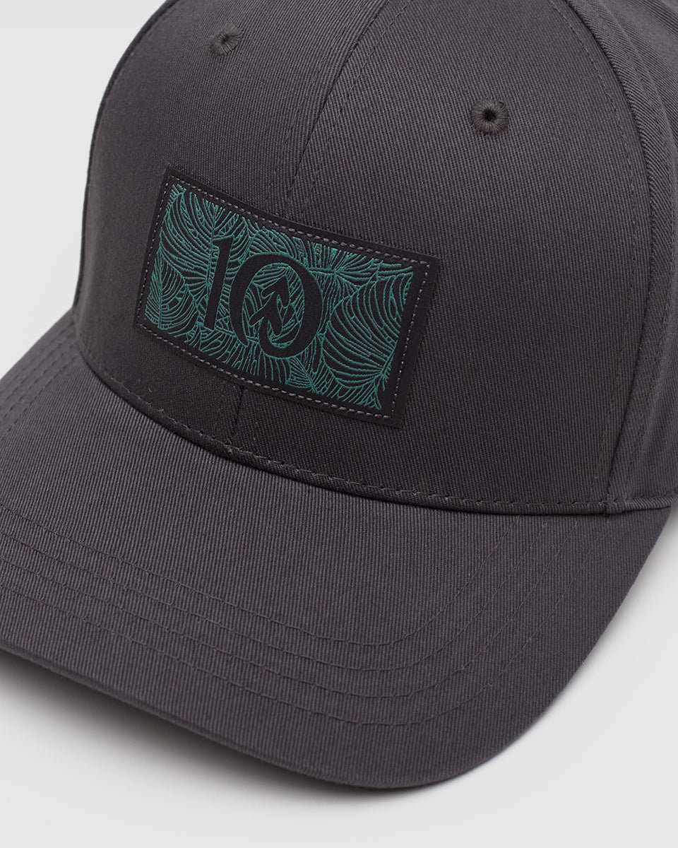 Tentree Accessories Amazon Patch Elevation Hat