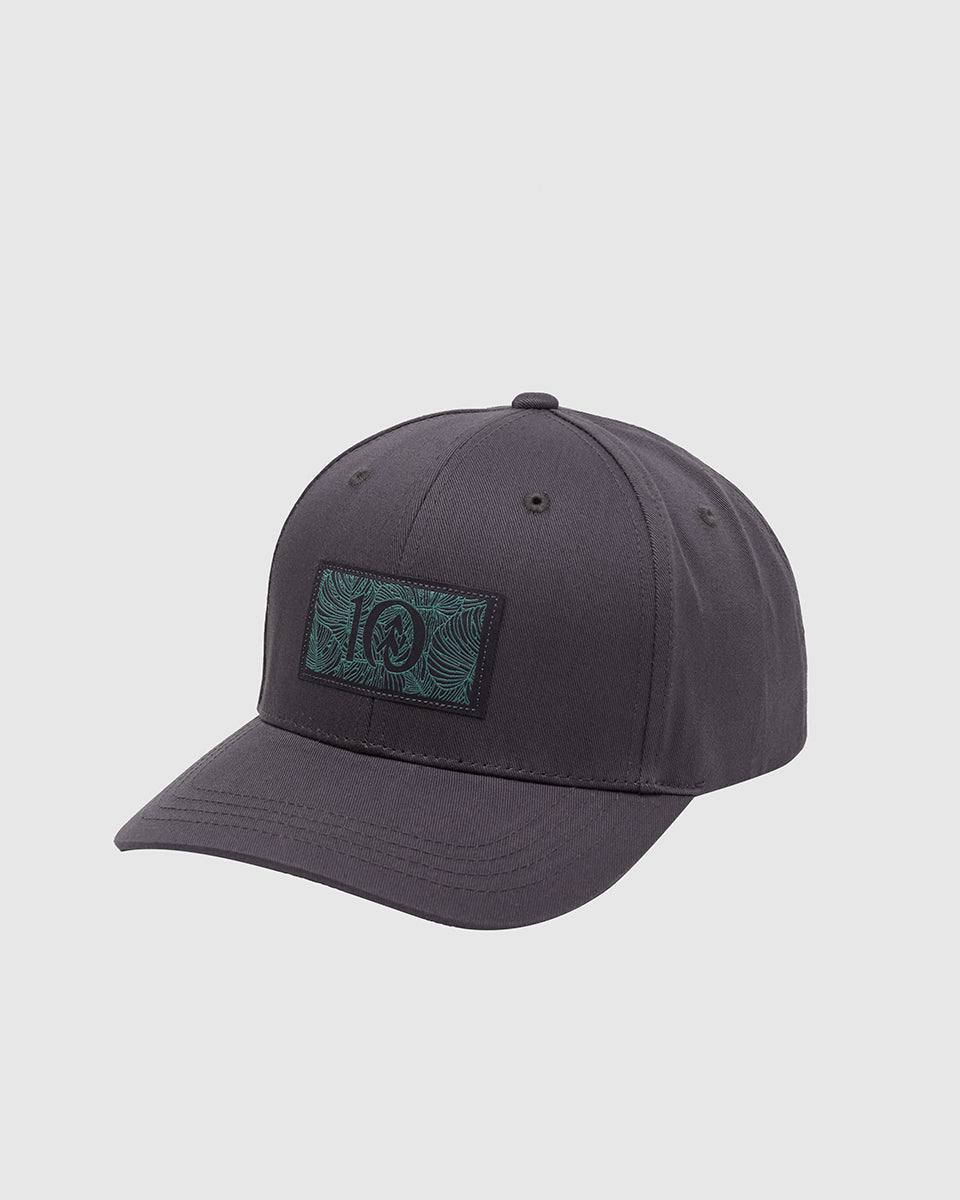 Tentree Accessories Amazon Patch Elevation Hat