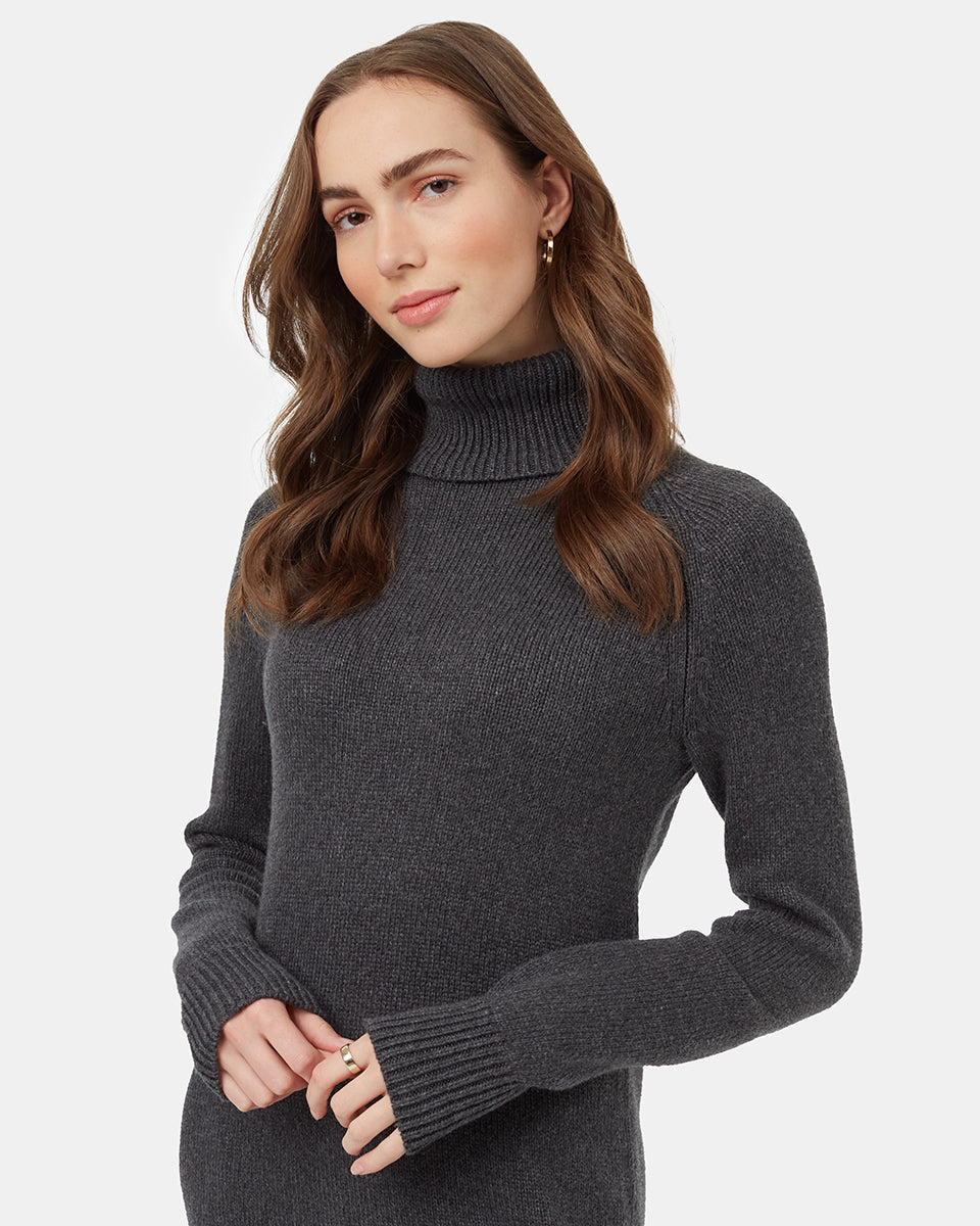 Tentree Women's Highline Turtleneck Maxi Dress
