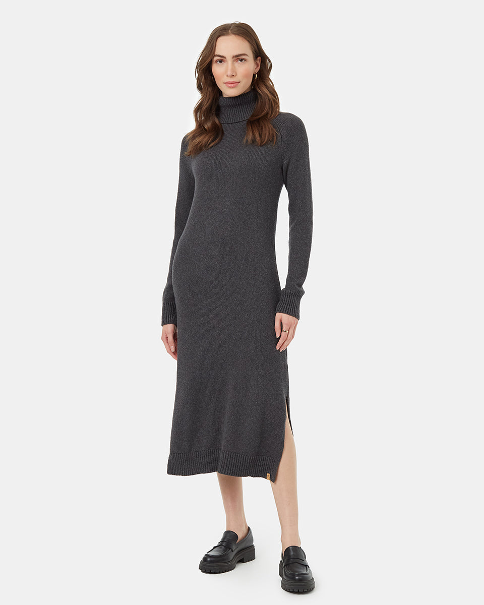 Tentree Women's Highline Turtleneck Maxi Dress