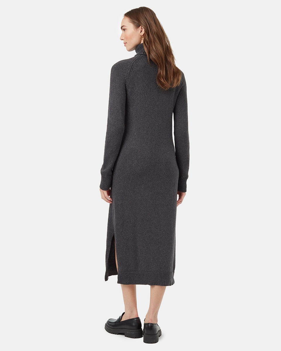 Tentree Women's Highline Turtleneck Maxi Dress