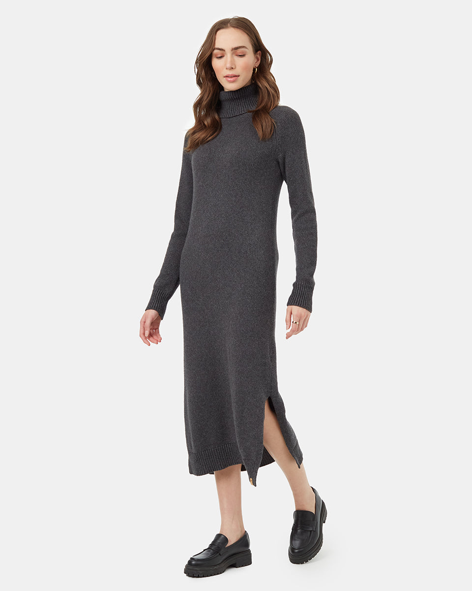 Tentree Women's Highline Turtleneck Maxi Dress