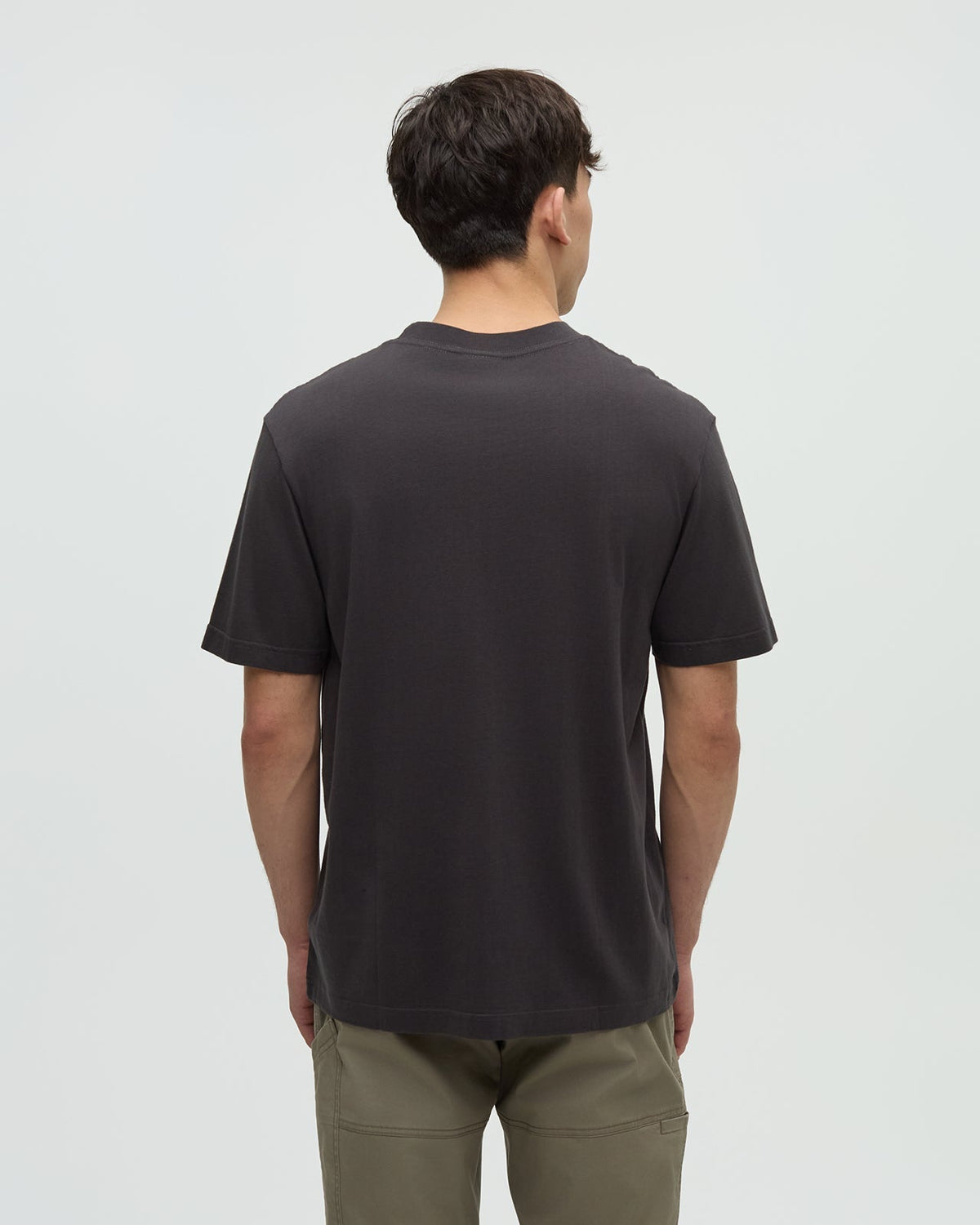 Tentree Men's Regenerative Lake Life Portal T-Shirt