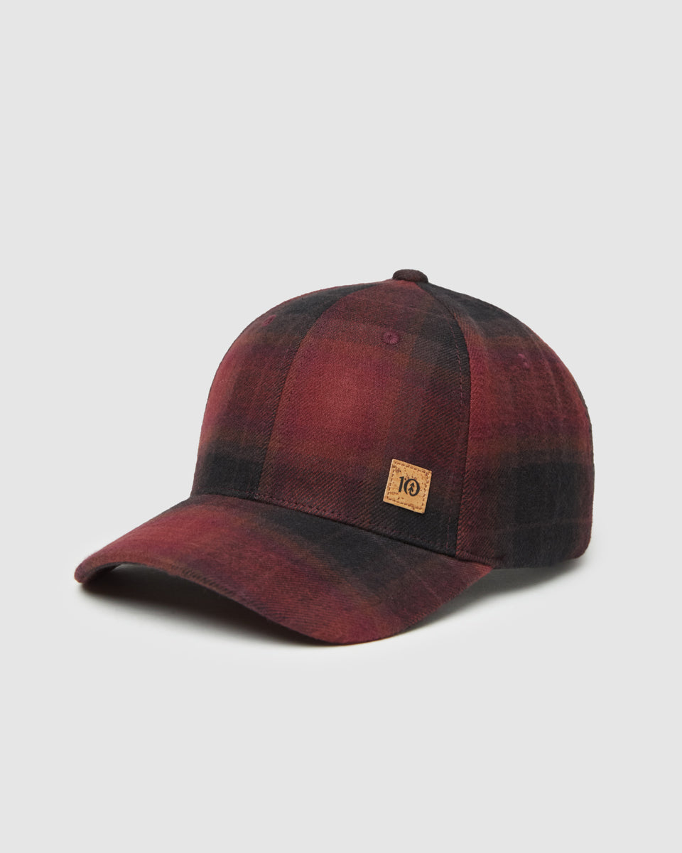 Tentree Accessories Forest Cork Icon Elevation Hat