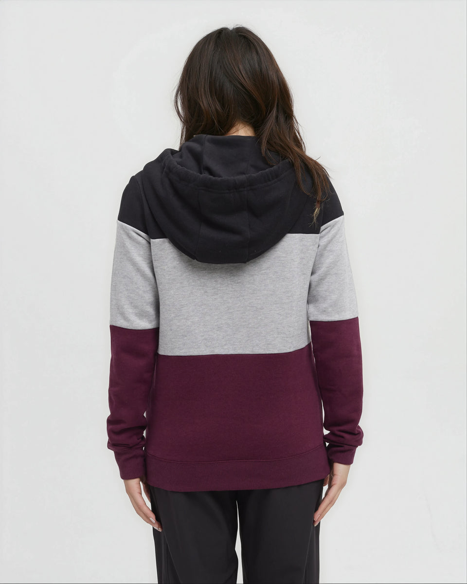 Tentree Blocked Banshee Hoodie