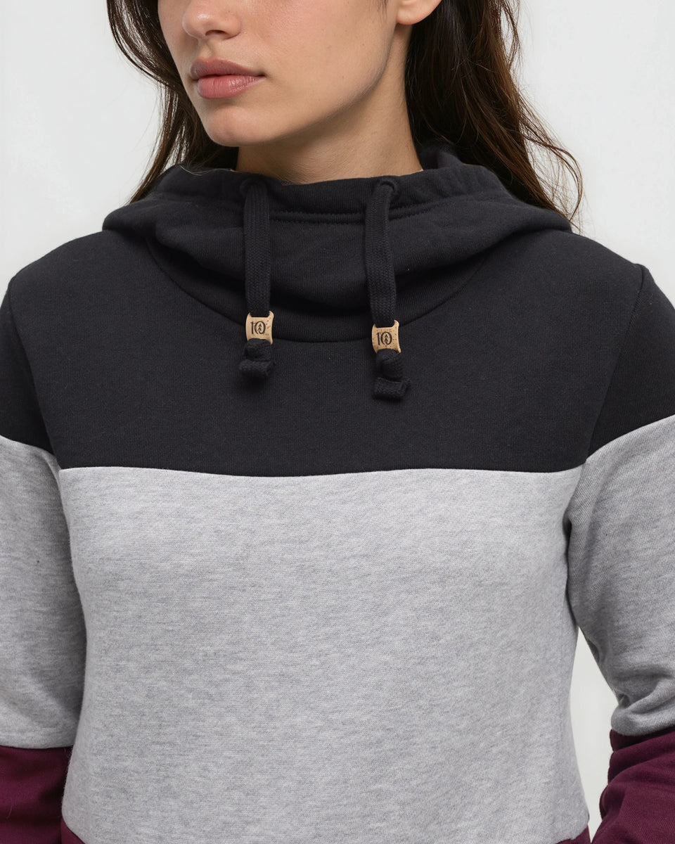 Tentree Blocked Banshee Hoodie