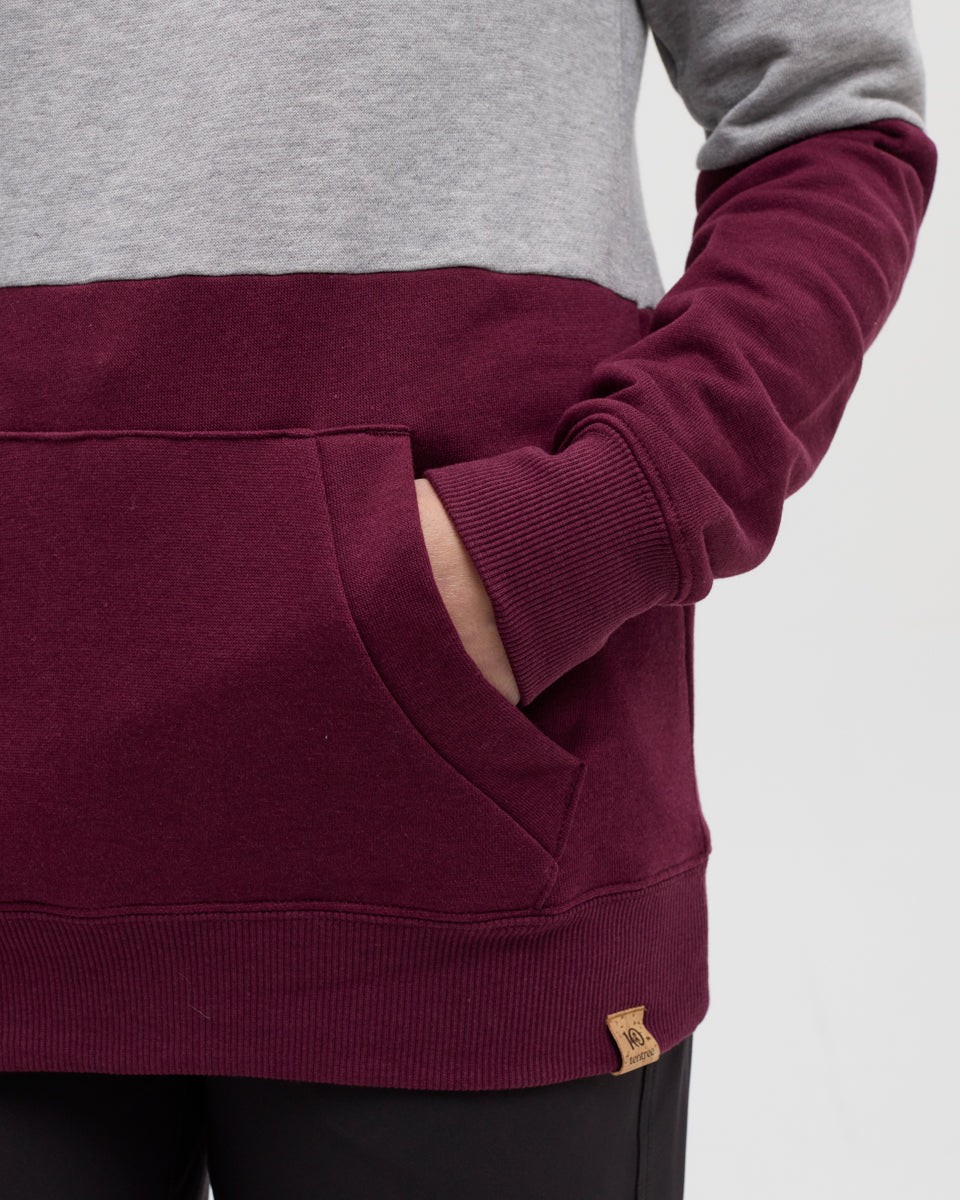 Tentree Blocked Banshee Hoodie