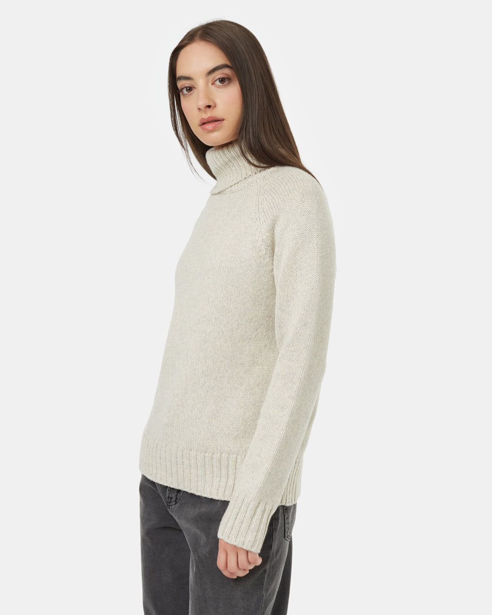 Tentree Women's Highline Wool Turtleneck Sweater