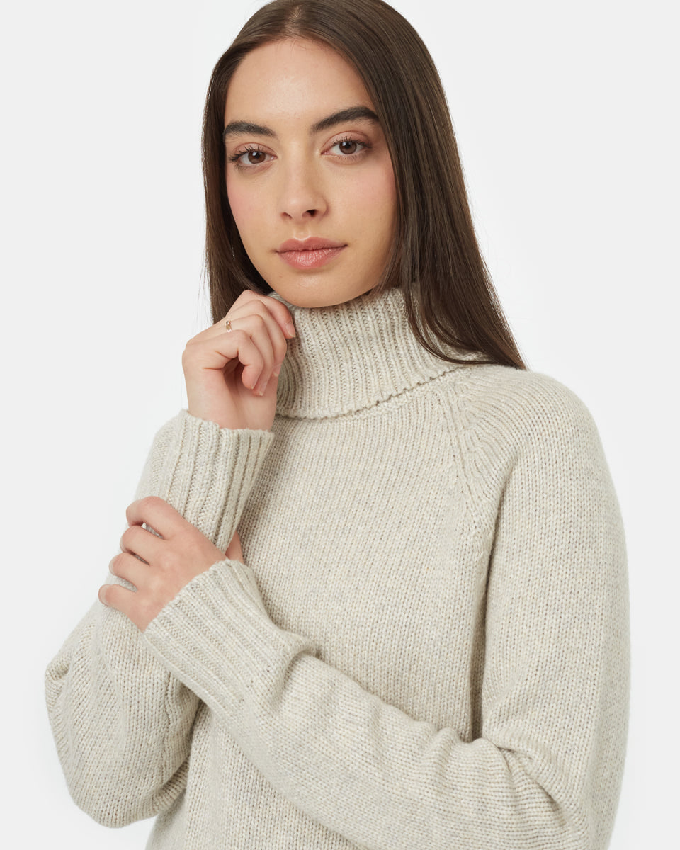 Tentree Women's Highline Wool Turtleneck Sweater