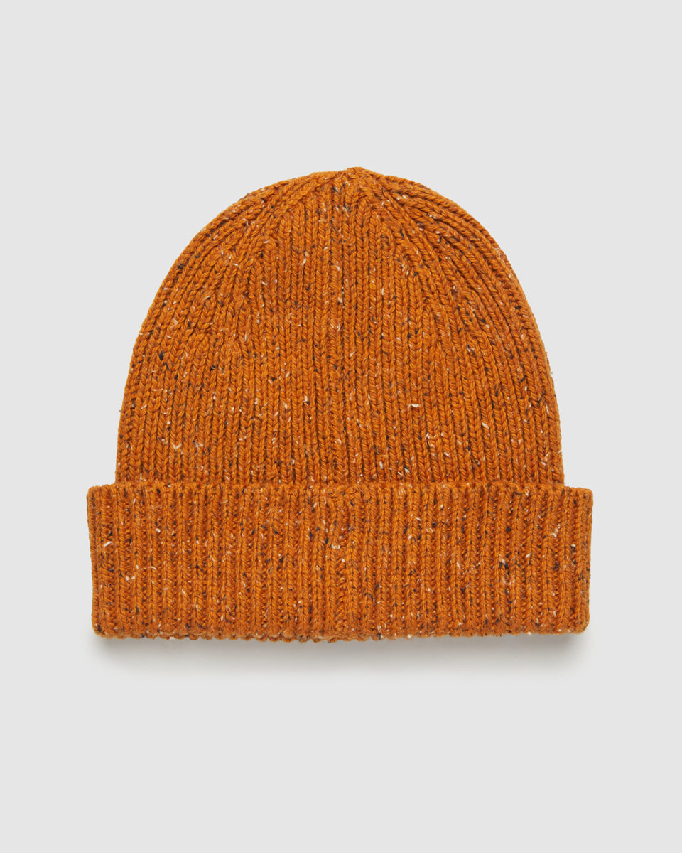 Tentree Men's Bristow Fleck Beanie