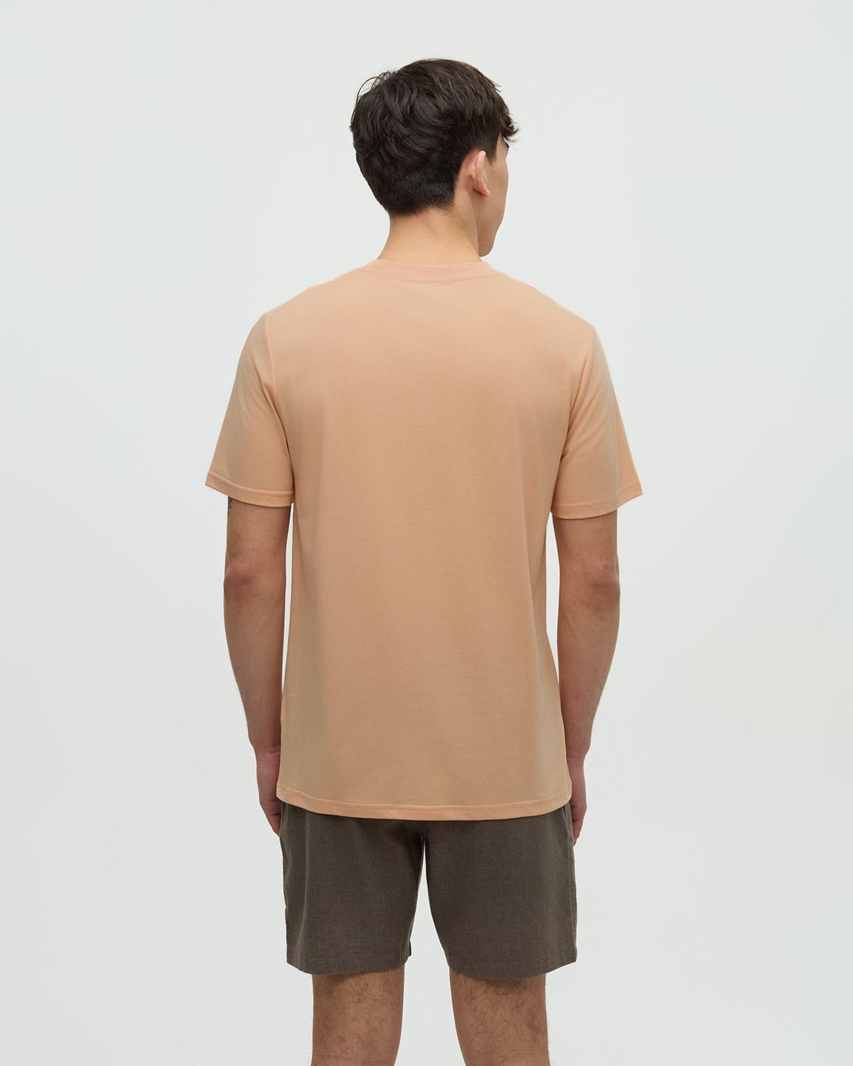 Tentree Men's Haiti Palm Logo T-Shirt