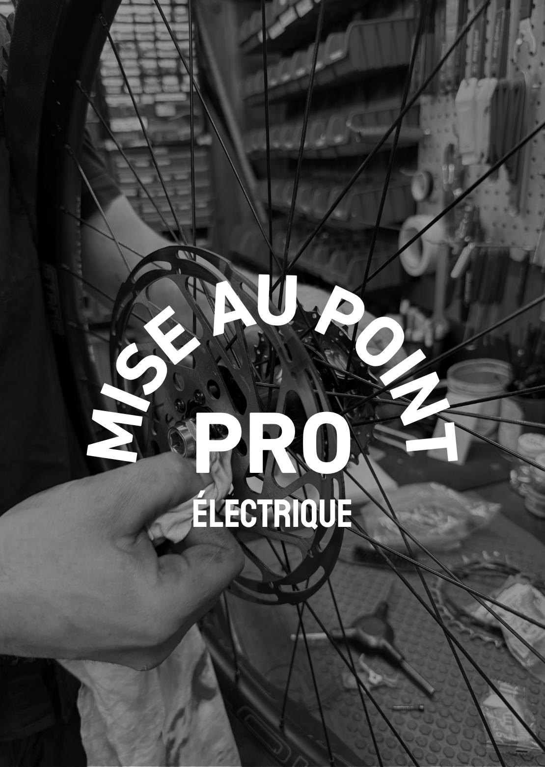 Mise au Point Pro Electrique Route/Gravel