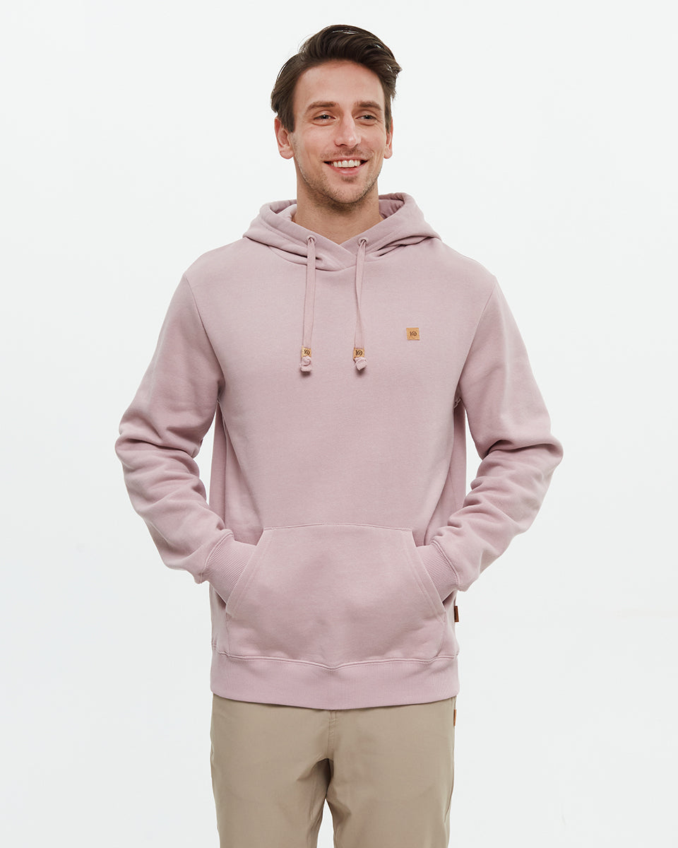 Tentree Reynard Hoodie