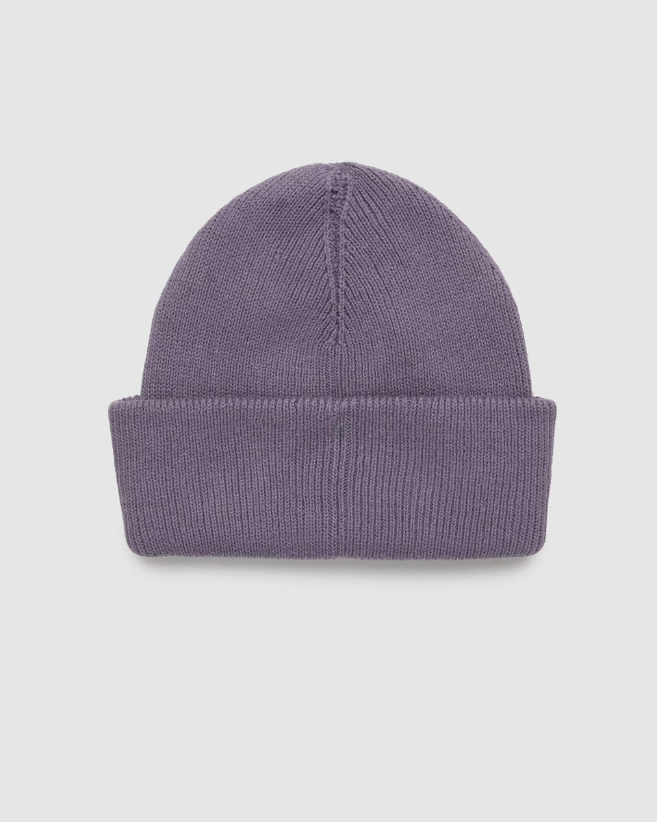 Tentree Alden Beanie