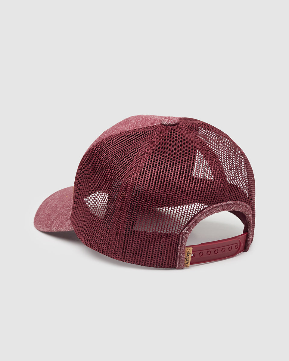 Tentree Accessories Cork Icon Jersey Elevation Hat