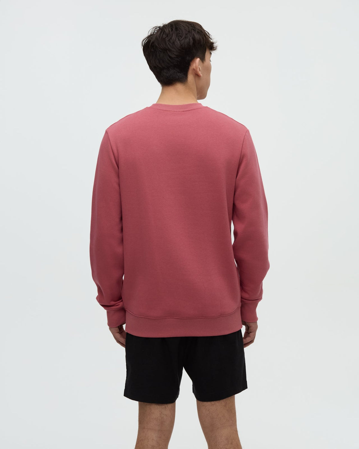 Tentree Men's Reynard Crew