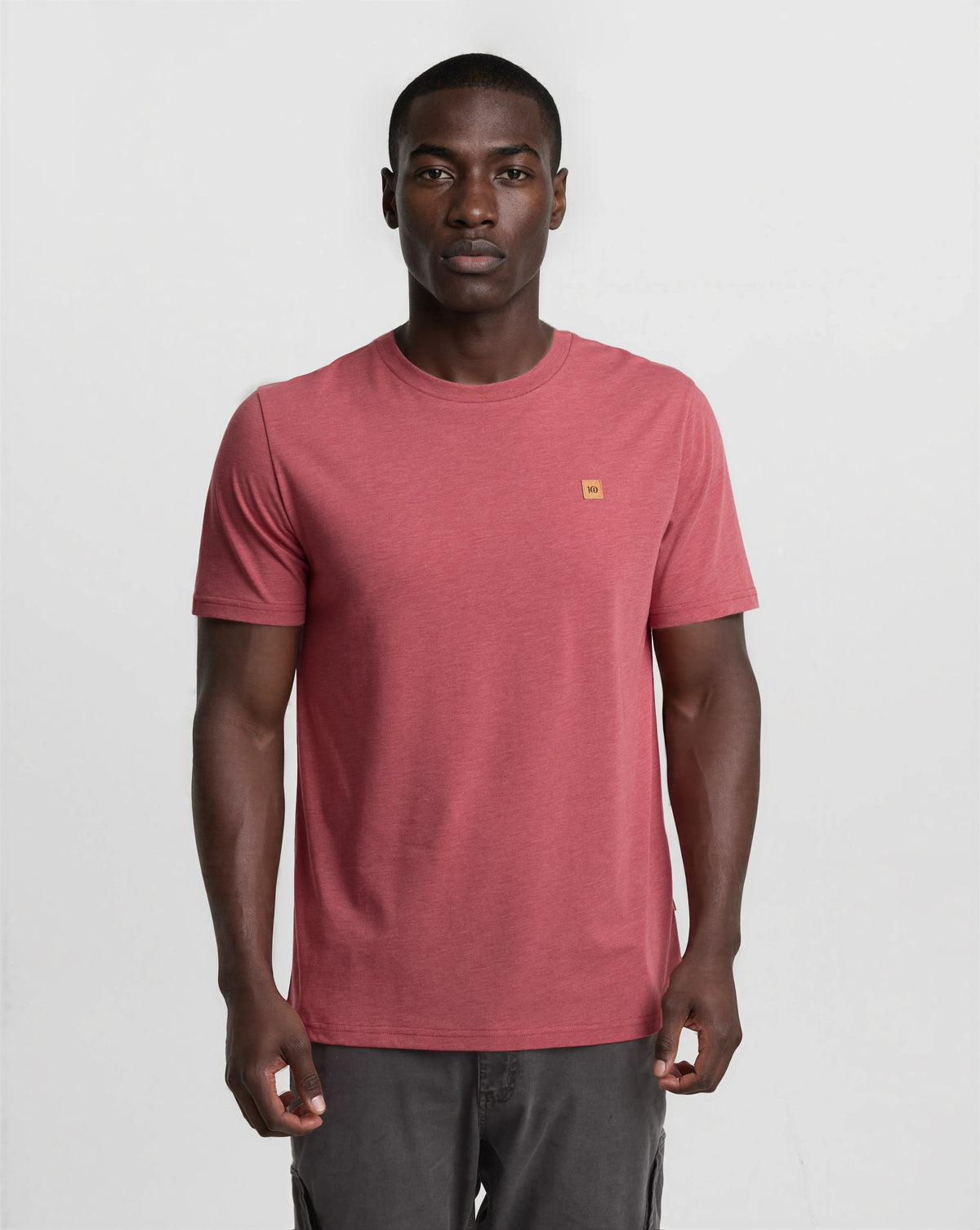 Tentree Men's TreeBlend Baker T-Shirt