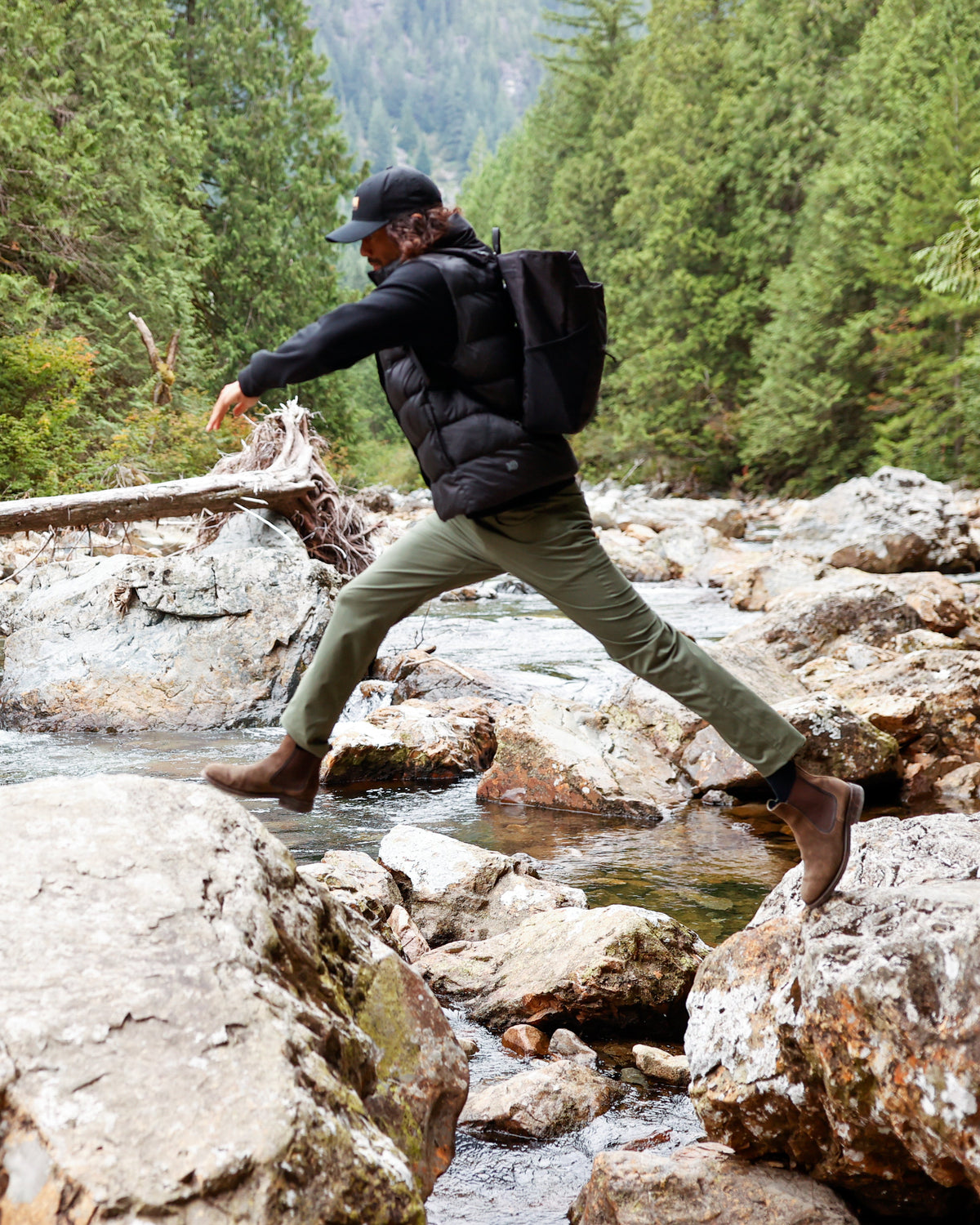 Tentree Men's Brewster Vest