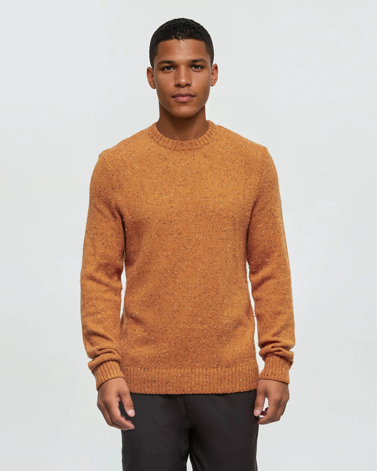 Tentree Men's Rambler Sweater