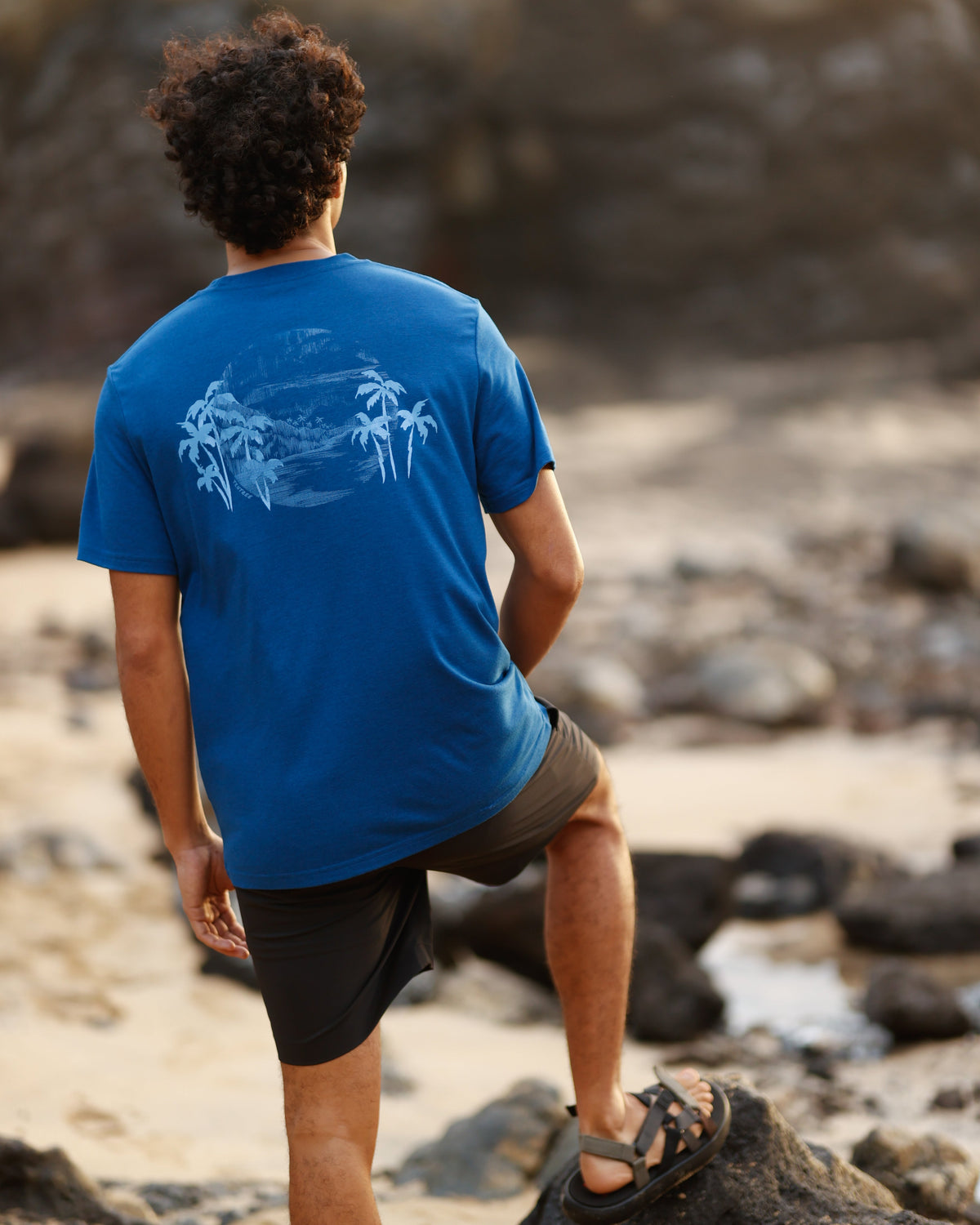 Tentree Men's Haiti Palm Overlay T-Shirt