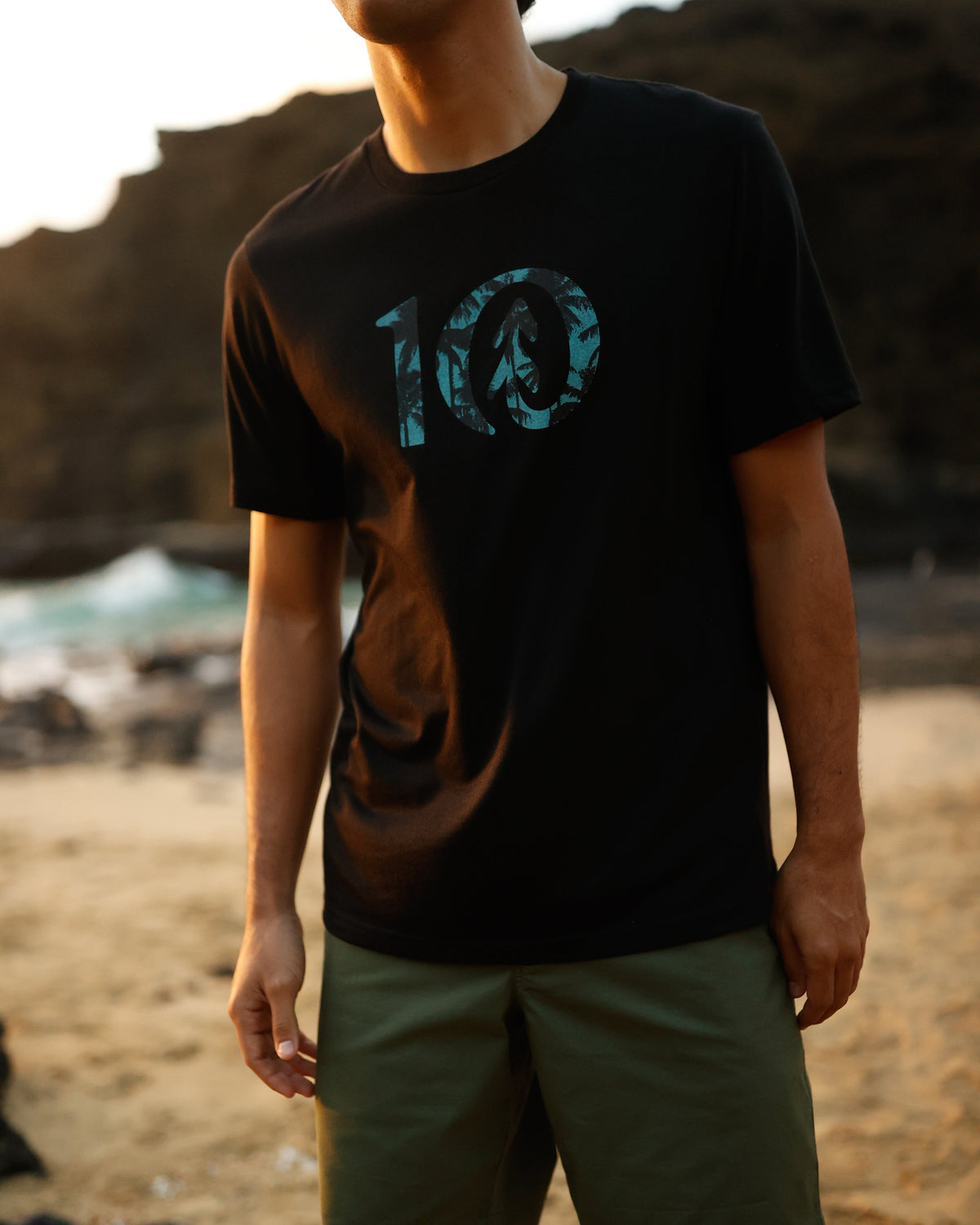 Tentree Men's Haiti Palm Logo T-Shirt