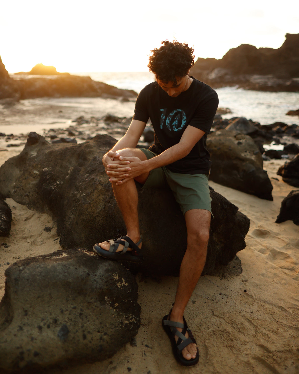 Tentree Men's Haiti Palm Logo T-Shirt