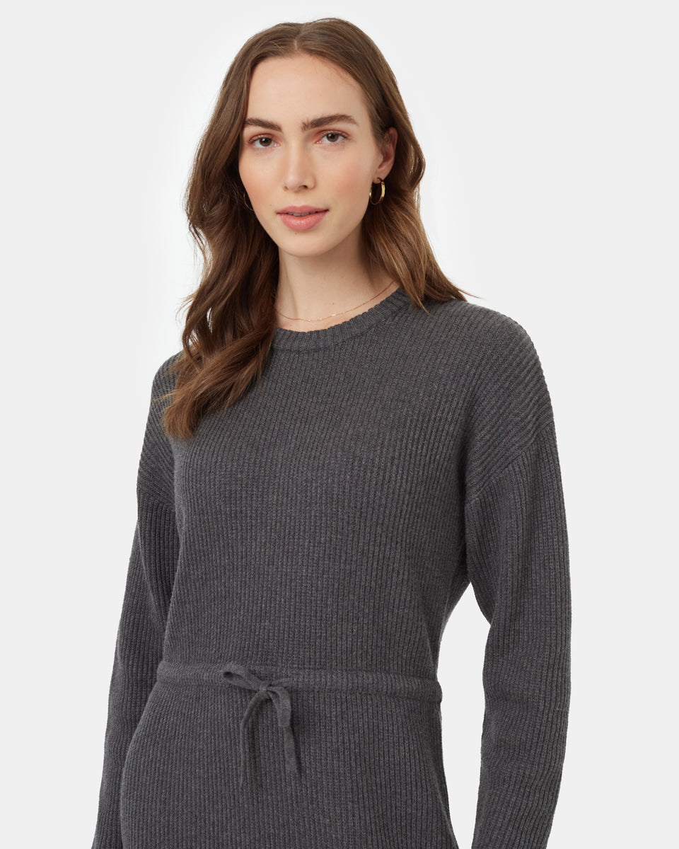 Tentree Women's Highline Drawstring Sweater Dress
