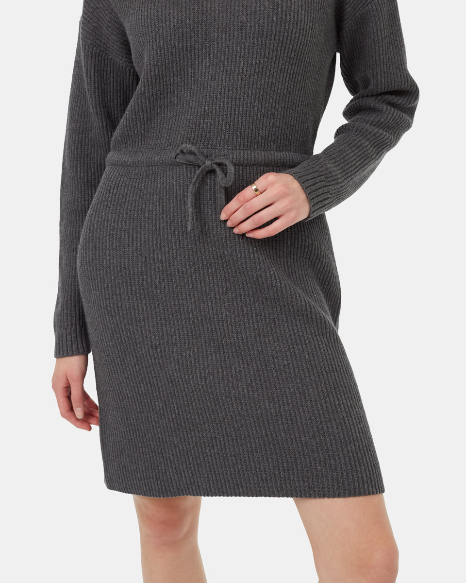 Tentree Women's Highline Drawstring Sweater Dress
