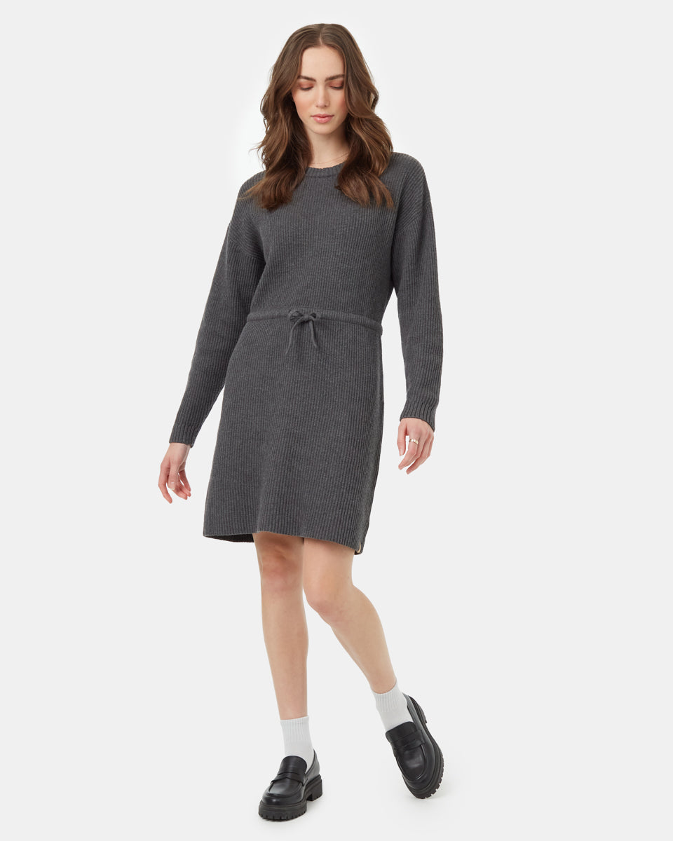 Tentree Women's Highline Drawstring Sweater Dress