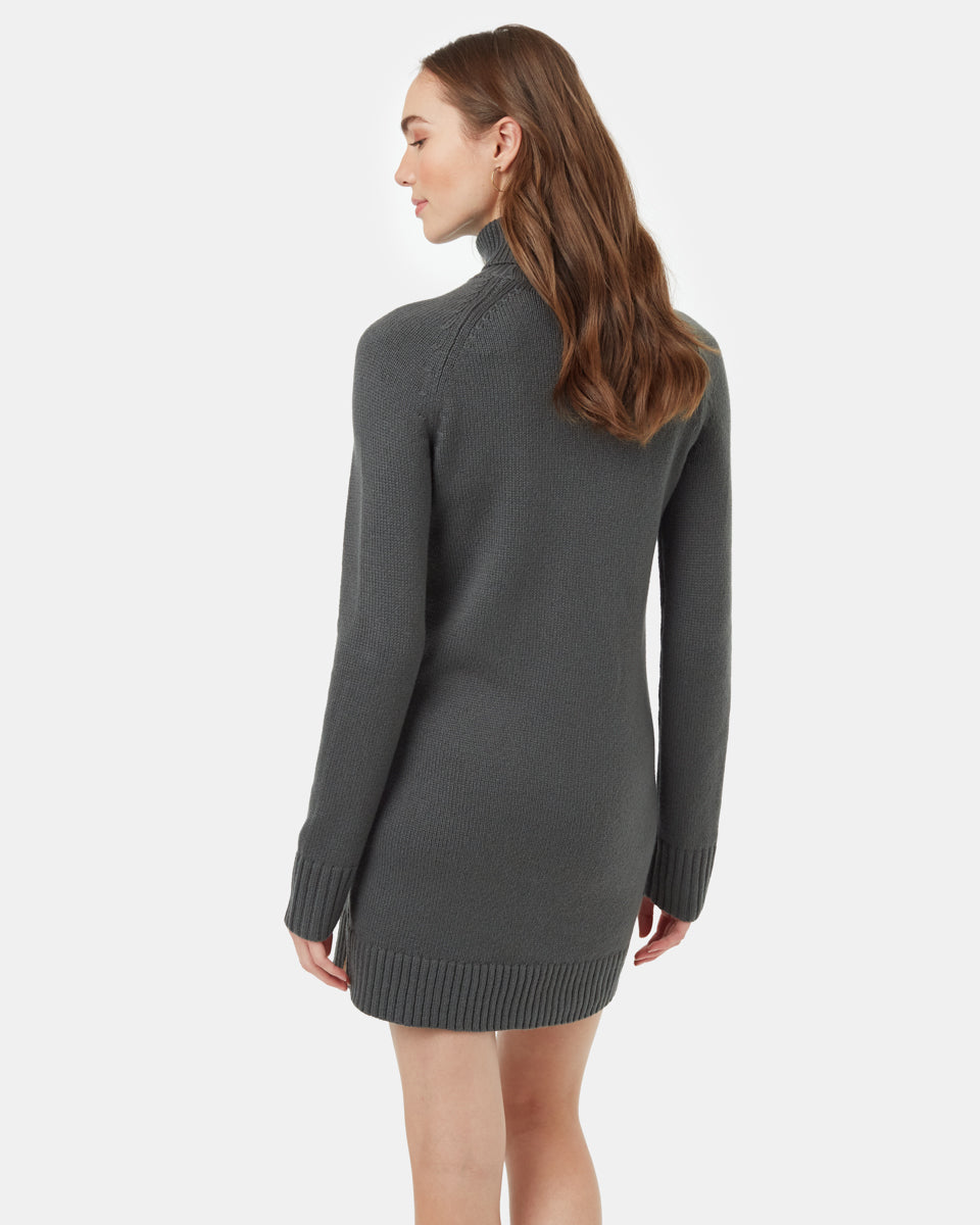 Tentree Women's Highline Turtleneck Dress
