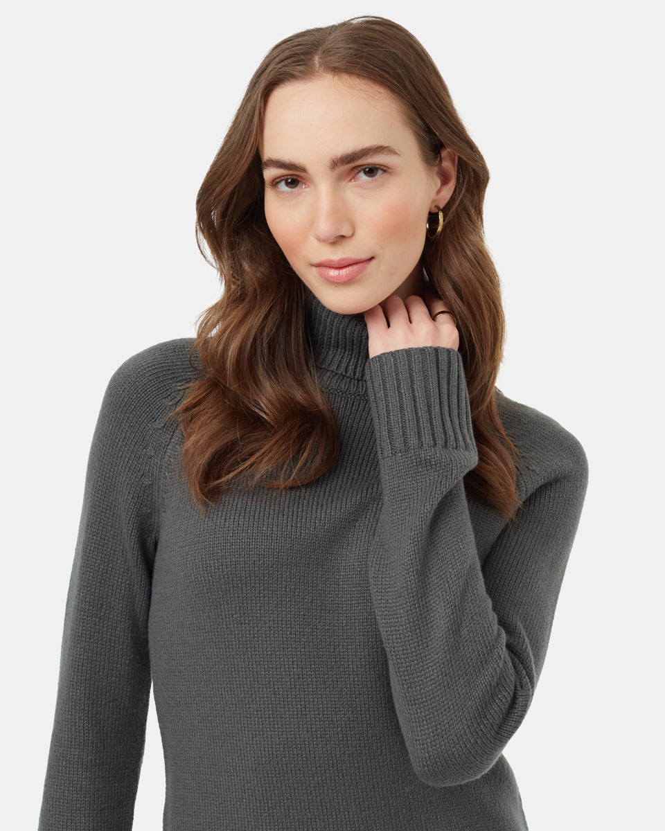 Tentree Women's Highline Turtleneck Dress