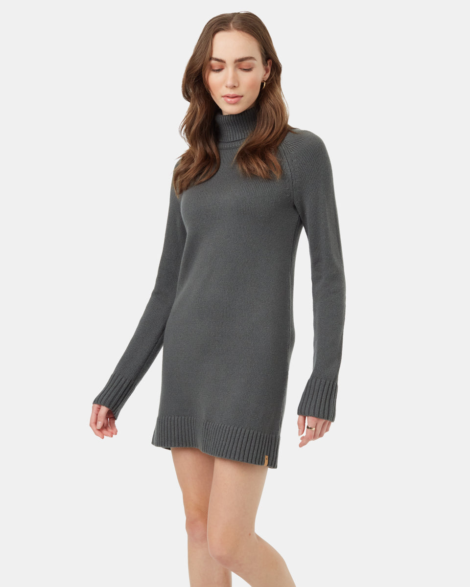Tentree Women's Highline Turtleneck Dress