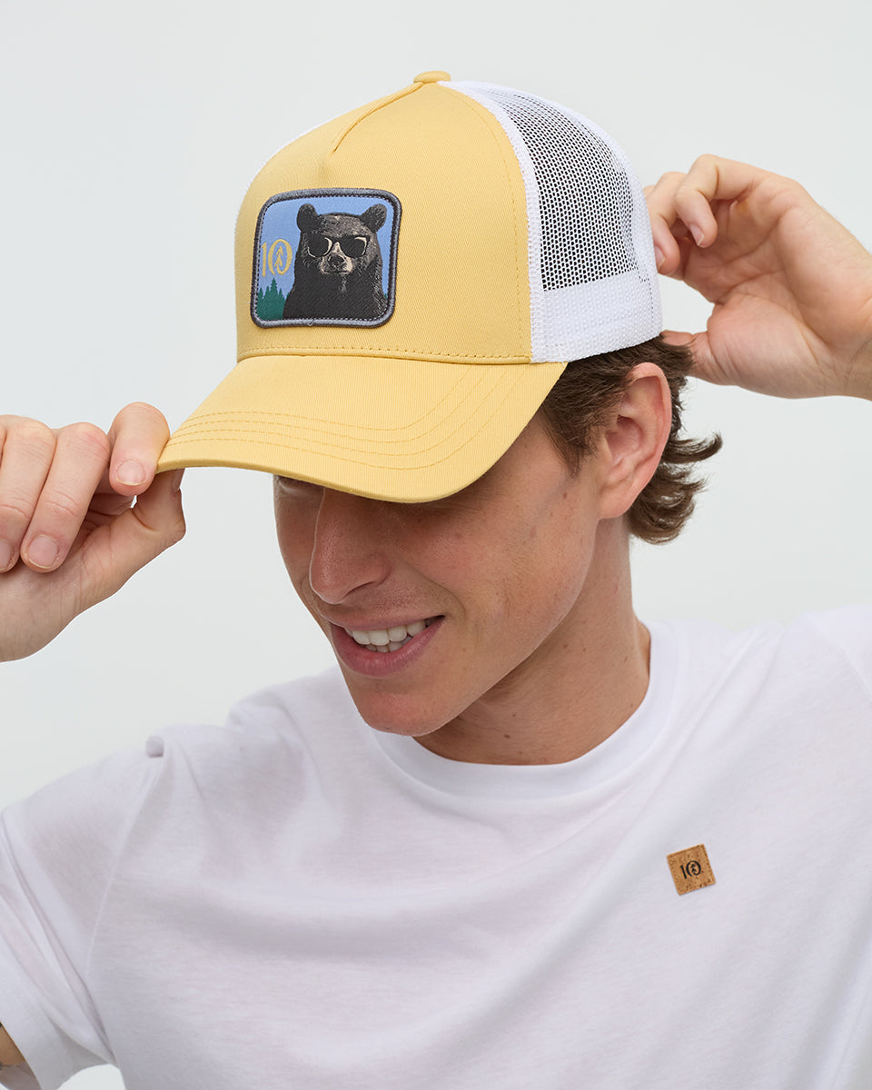 Tentree Accessories Lake Logo Altitude Hat
