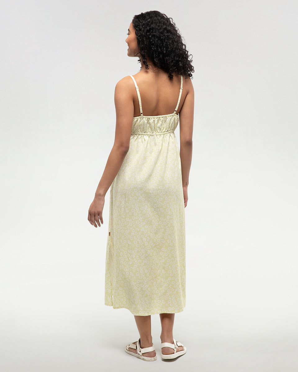 Tentree Women's Gabriola Dress