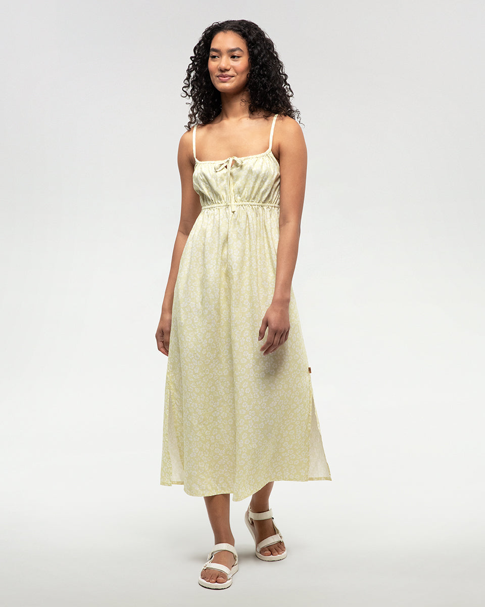 Tentree Women's Gabriola Dress