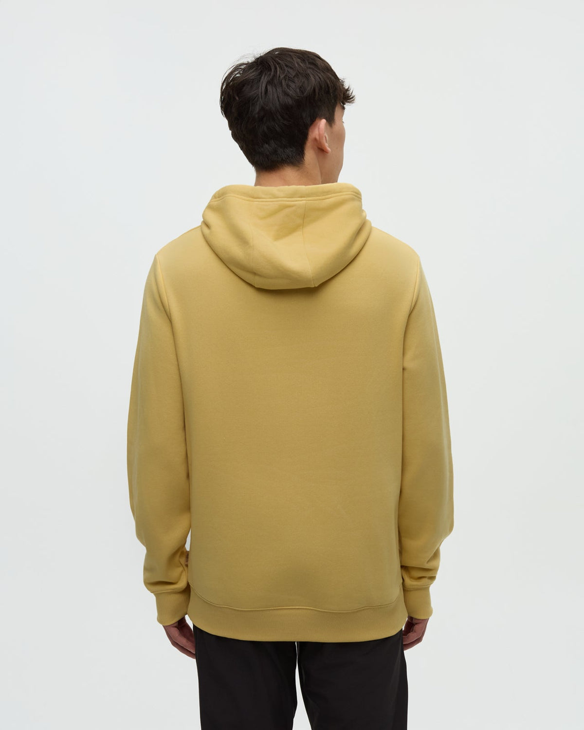 Tentree Men's Reynard Hoodie