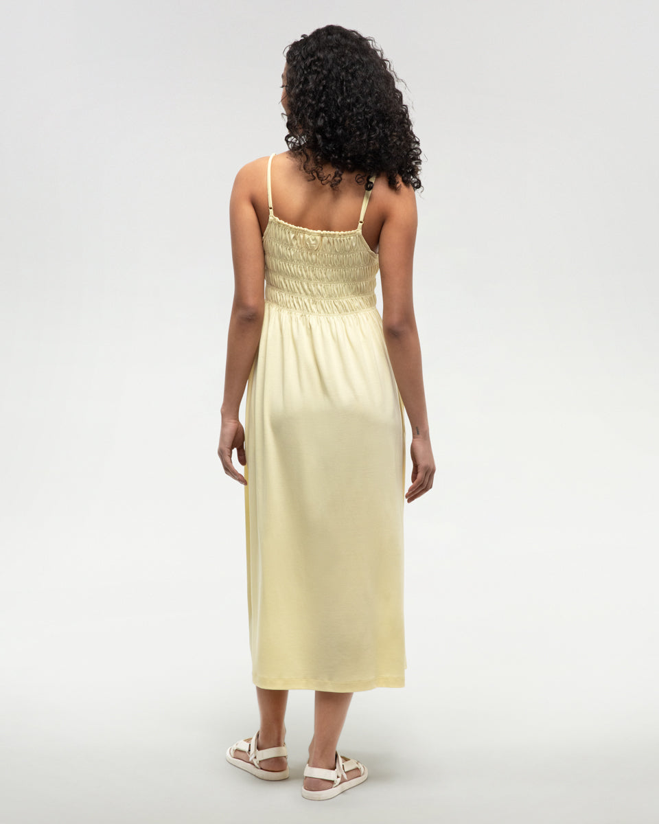 Tentree Women's Driftwood Dress